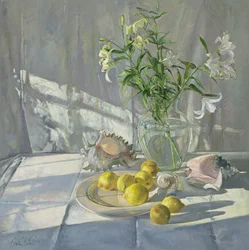 Spiegelungen und Schatten